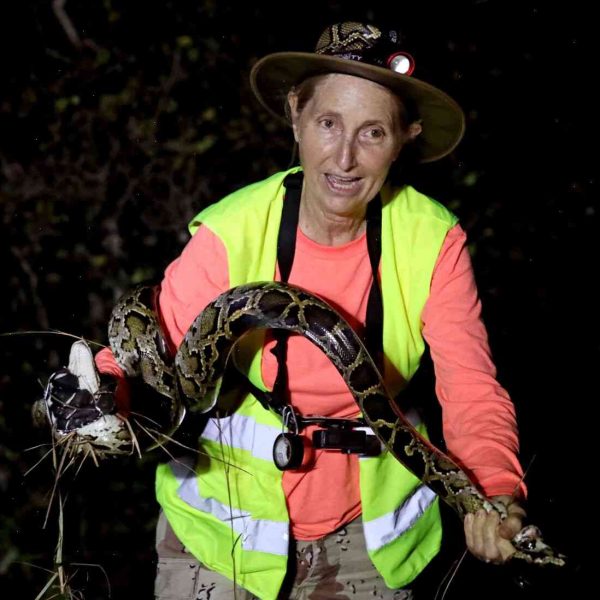 The Everglades: A Woman Hunts Giant Pythons